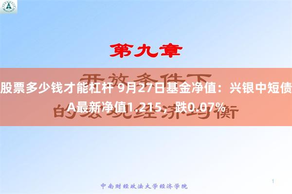 股票多少钱才能杠杆 9月27日基金净值：兴银中短债A最新净值1.215，跌0.07%