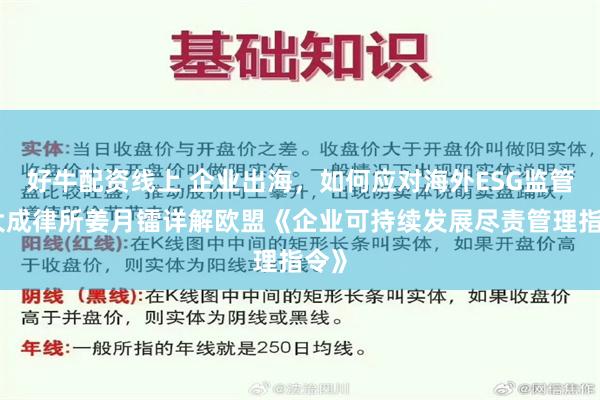 好牛配资线上 企业出海，如何应对海外ESG监管？大成律所姜月镭详解欧盟《企业可持续发展尽责管理指令》