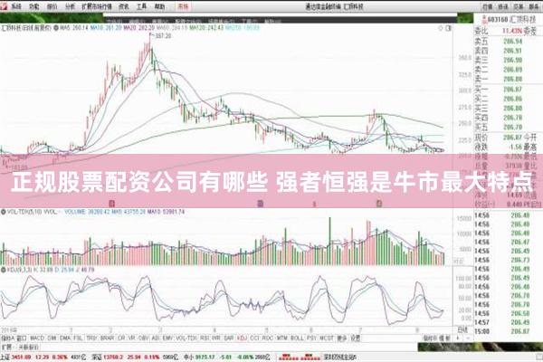 正规股票配资公司有哪些 强者恒强是牛市最大特点