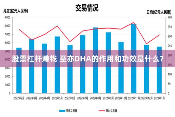 股票杠杆赚钱 至亦DHA的作用和功效是什么？