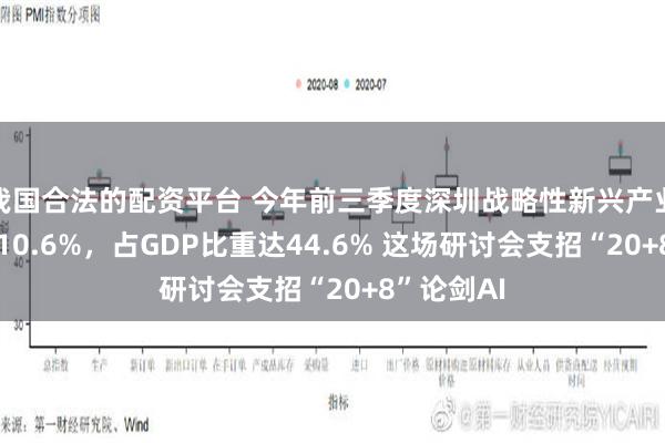 我国合法的配资平台 今年前三季度深圳战略性新兴产业集群增长10.6%，占GDP比重达44.6% 这场研讨会支招“20+8”论剑AI