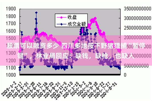 股票可以融资多少 四川多地按下野猪猎捕“暂停键”，林业局回应：缺钱，缺枪，也缺人