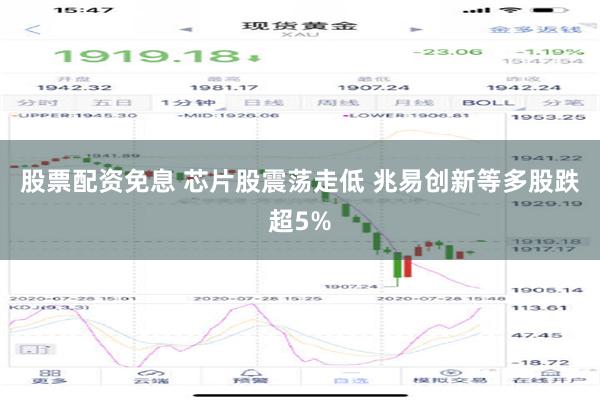 股票配资免息 芯片股震荡走低 兆易创新等多股跌超5%