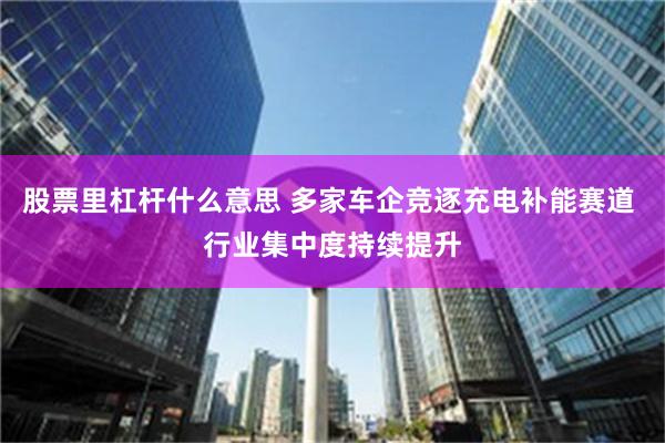 股票里杠杆什么意思 多家车企竞逐充电补能赛道 行业集中度持续提升