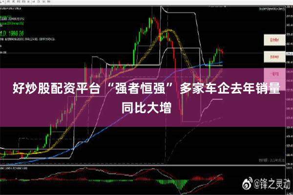 好炒股配资平台 “强者恒强” 多家车企去年销量同比大增