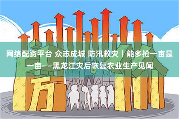 网络配资平台 众志成城 防汛救灾丨能多抢一亩是一亩——黑龙江灾后恢复农业生产见闻