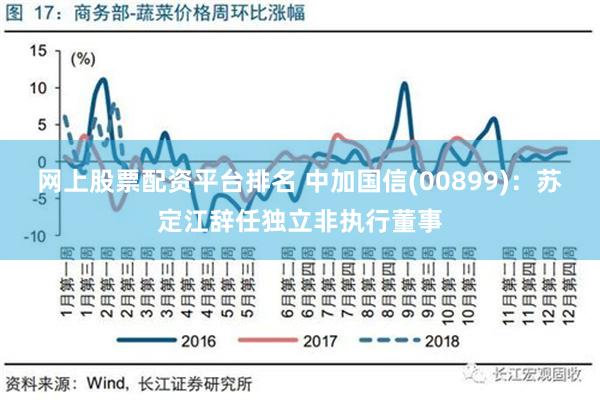 网上股票配资平台排名 中加国信(00899)：苏定江辞任独立非执行董事